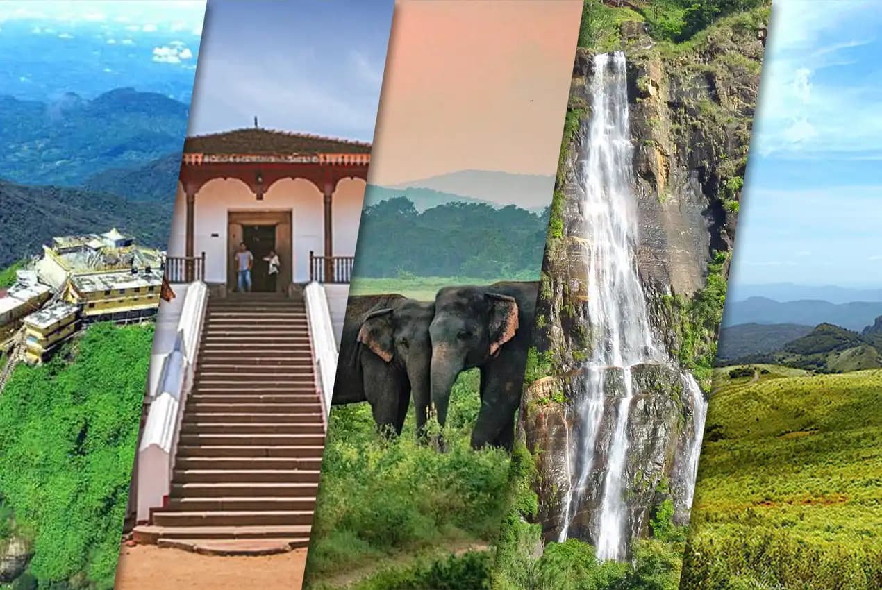 People enjoying a serene sunset experience, possibly yoga or meditation